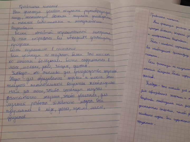 «Правильное питание-залог здоровья»